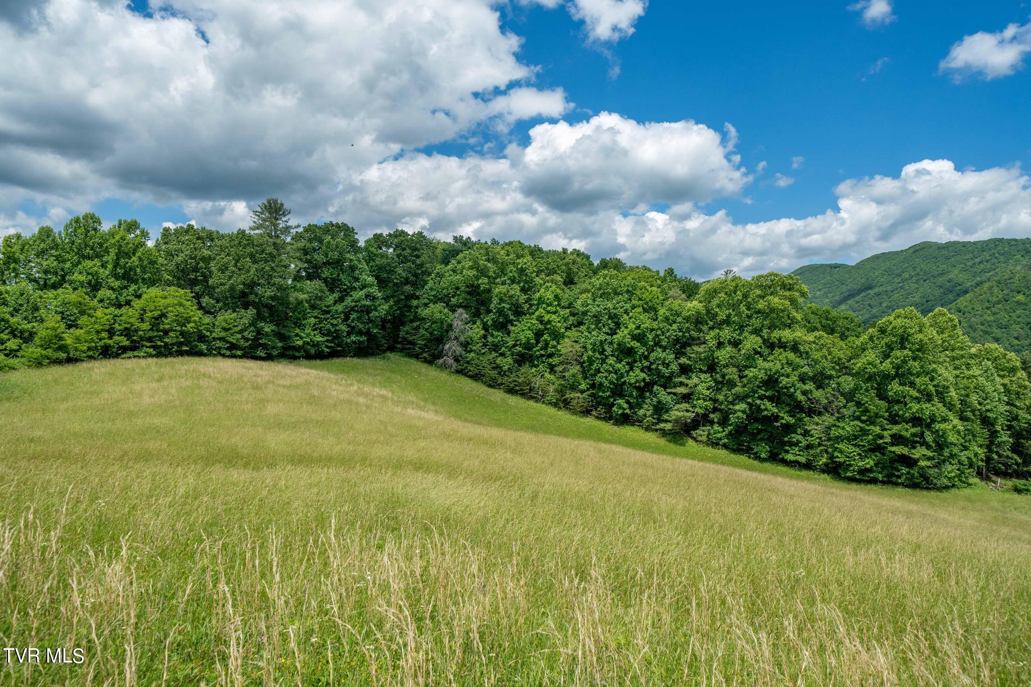 Tbd Tbd Dark Hollow Butler, TN 37640 - Photo 39 of 50 TBD Dark Hollow Private Dr (48 of 59)