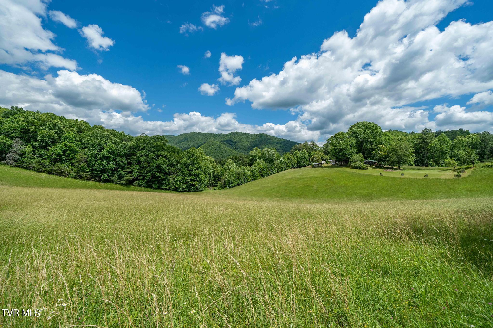 Tbd Tbd Dark Hollow Butler, TN 37640 - Photo 40 of 50 TBD Dark Hollow Private Dr (49 of 59)