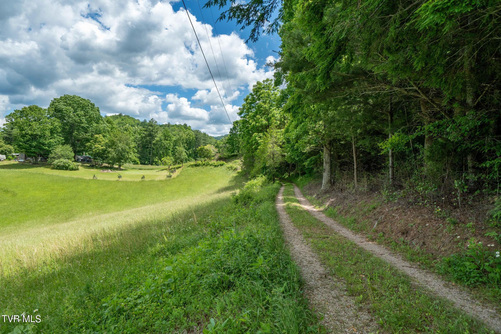 Tbd Tbd Dark Hollow Butler, TN 37640 - Photo 41 of 50 TBD Dark Hollow Private Dr (50 of 59)