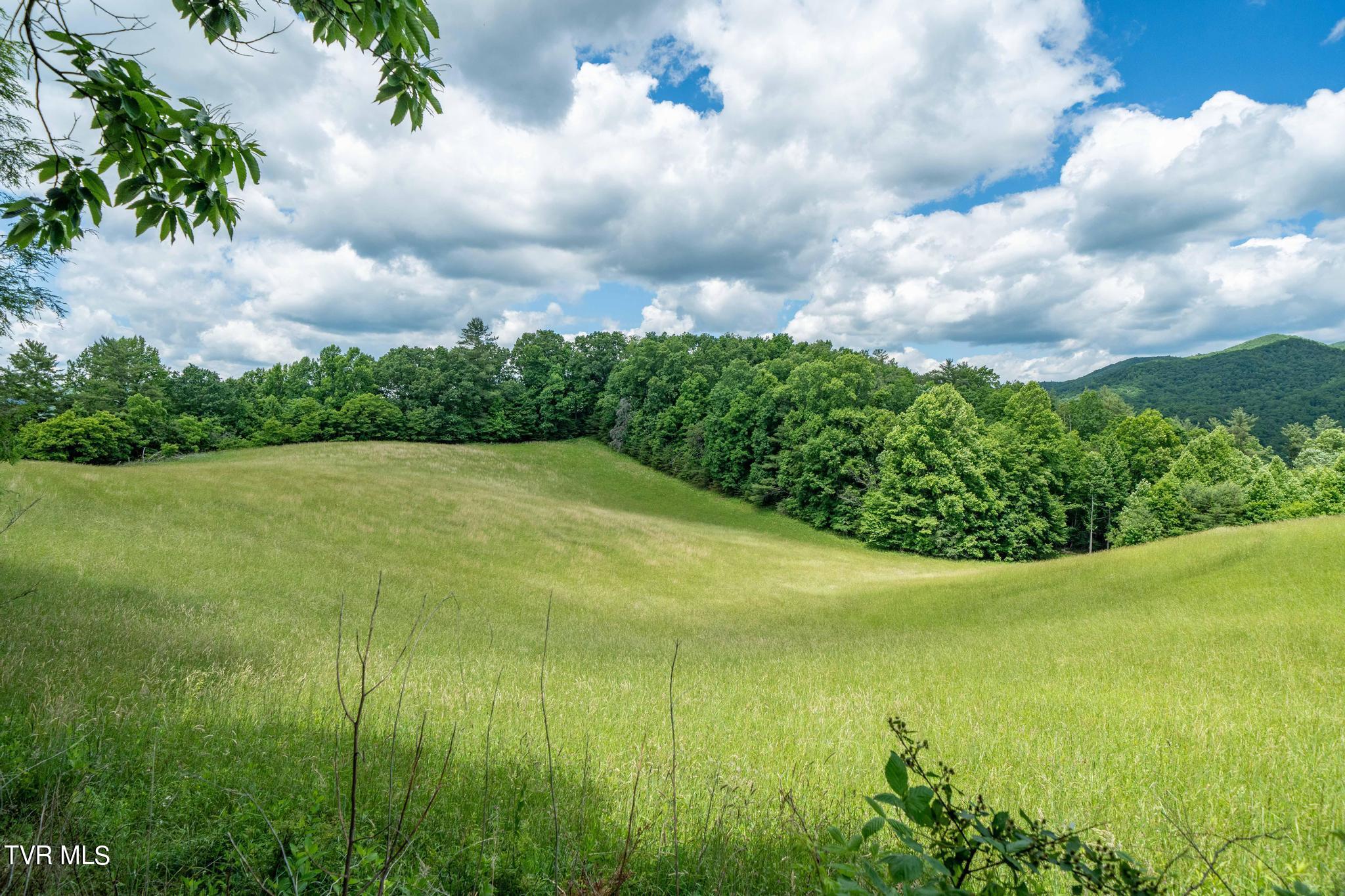 Tbd Tbd Dark Hollow Butler, TN 37640 - Photo 42 of 50 TBD Dark Hollow Private Dr (51 of 59)