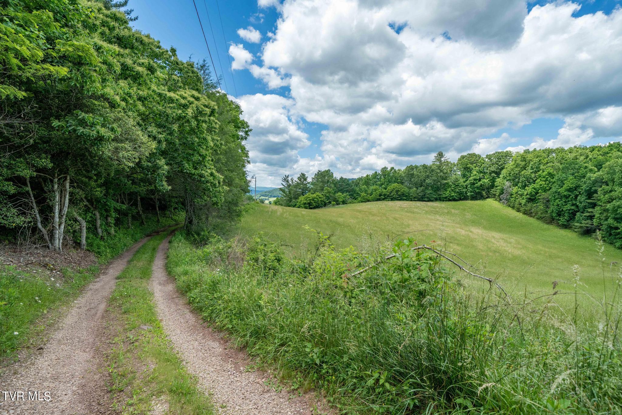 Tbd Tbd Dark Hollow Butler, TN 37640 - Photo 43 of 50 TBD Dark Hollow Private Dr (52 of 59)