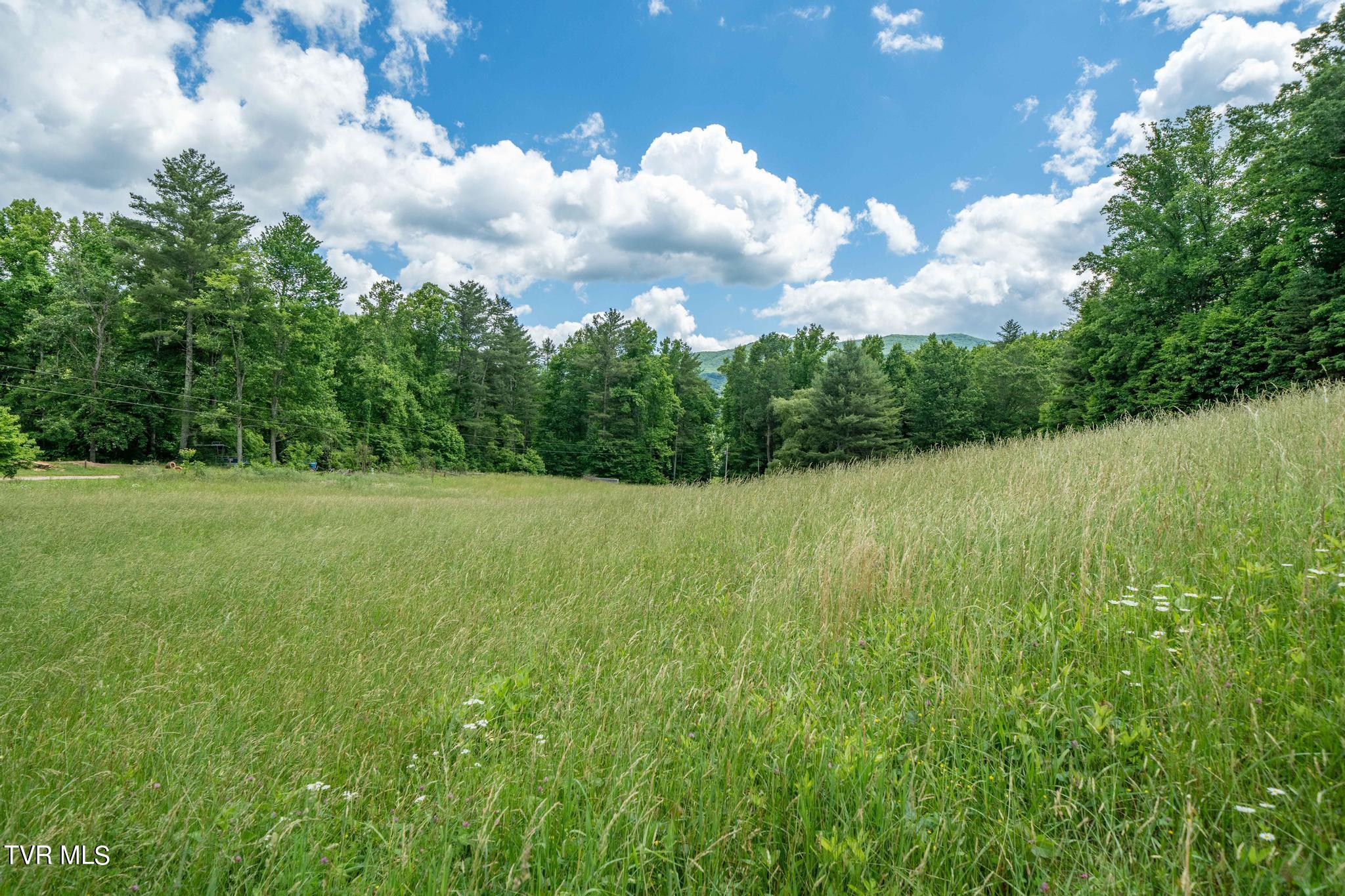 Tbd Tbd Dark Hollow Butler, TN 37640 - Photo 44 of 50 TBD Dark Hollow Private Dr (53 of 59)