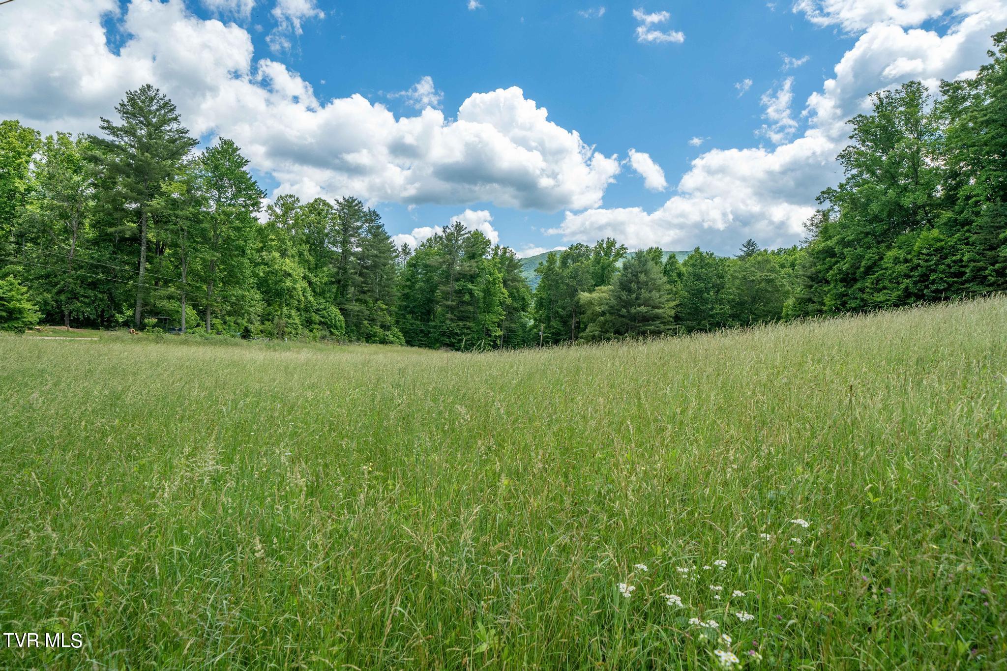 Tbd Tbd Dark Hollow Butler, TN 37640 - Photo 45 of 50 TBD Dark Hollow Private Dr (54 of 59)
