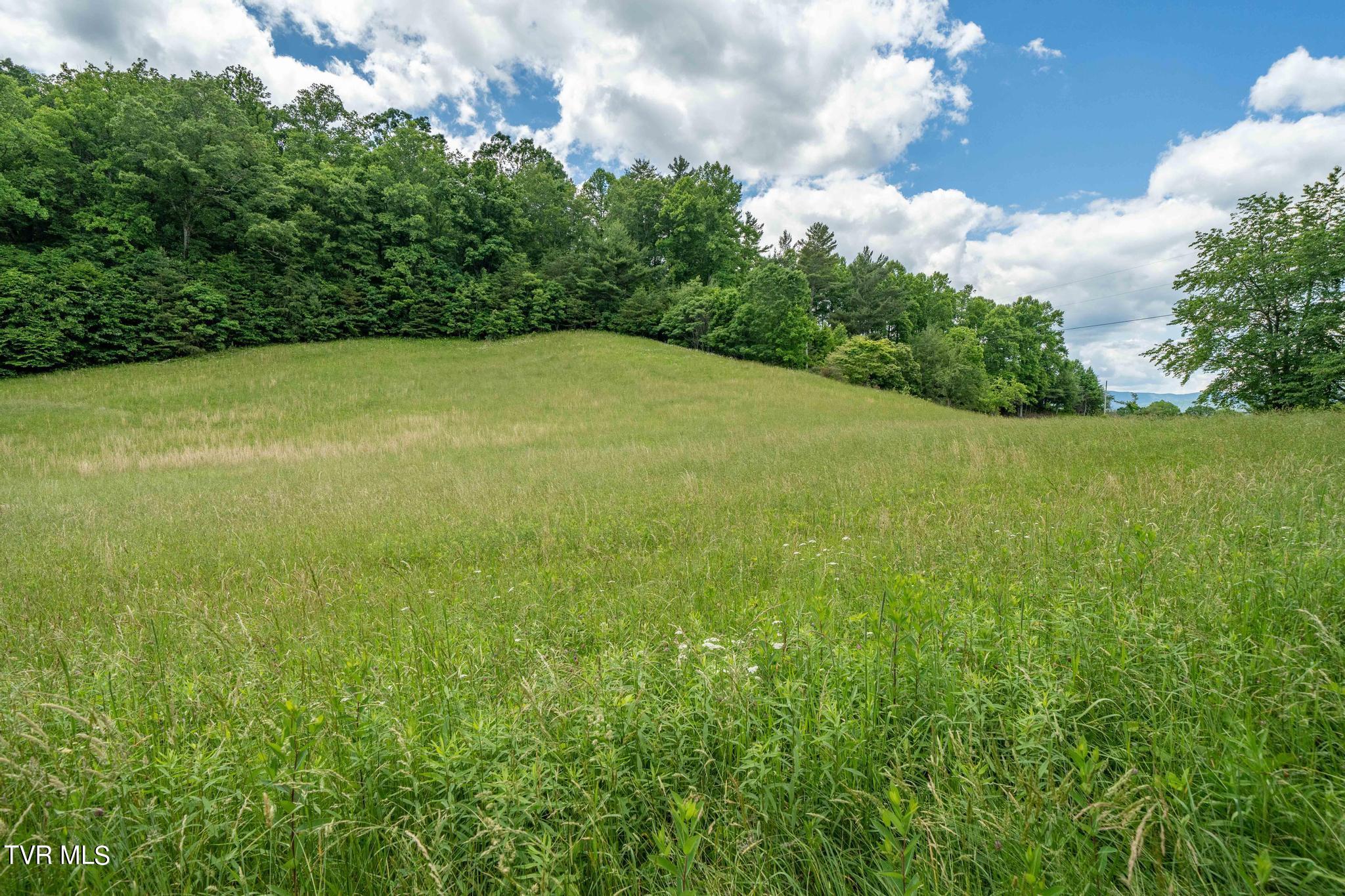 Tbd Tbd Dark Hollow Butler, TN 37640 - Photo 47 of 50 TBD Dark Hollow Private Dr (56 of 59)