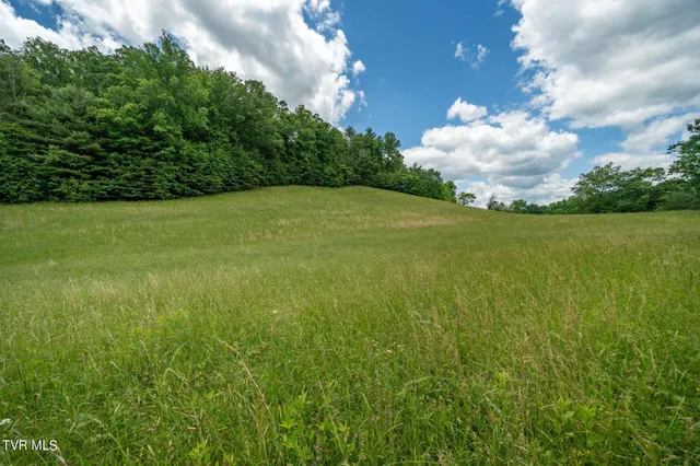 $274,900 | Tbd Tbd Dark Hollow, Butler, TN 37640