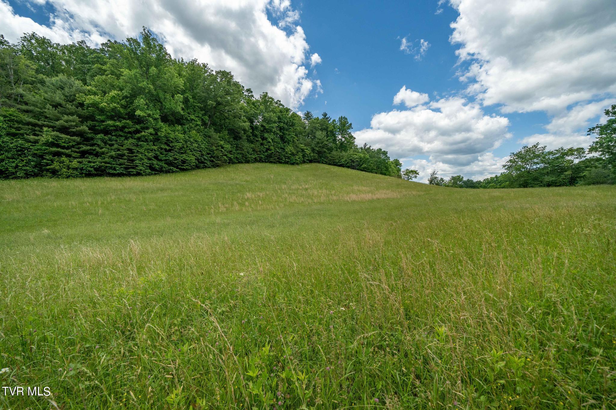 Tbd Tbd Dark Hollow Butler, TN 37640 - Photo 48 of 50 TBD Dark Hollow Private Dr (57 of 59)