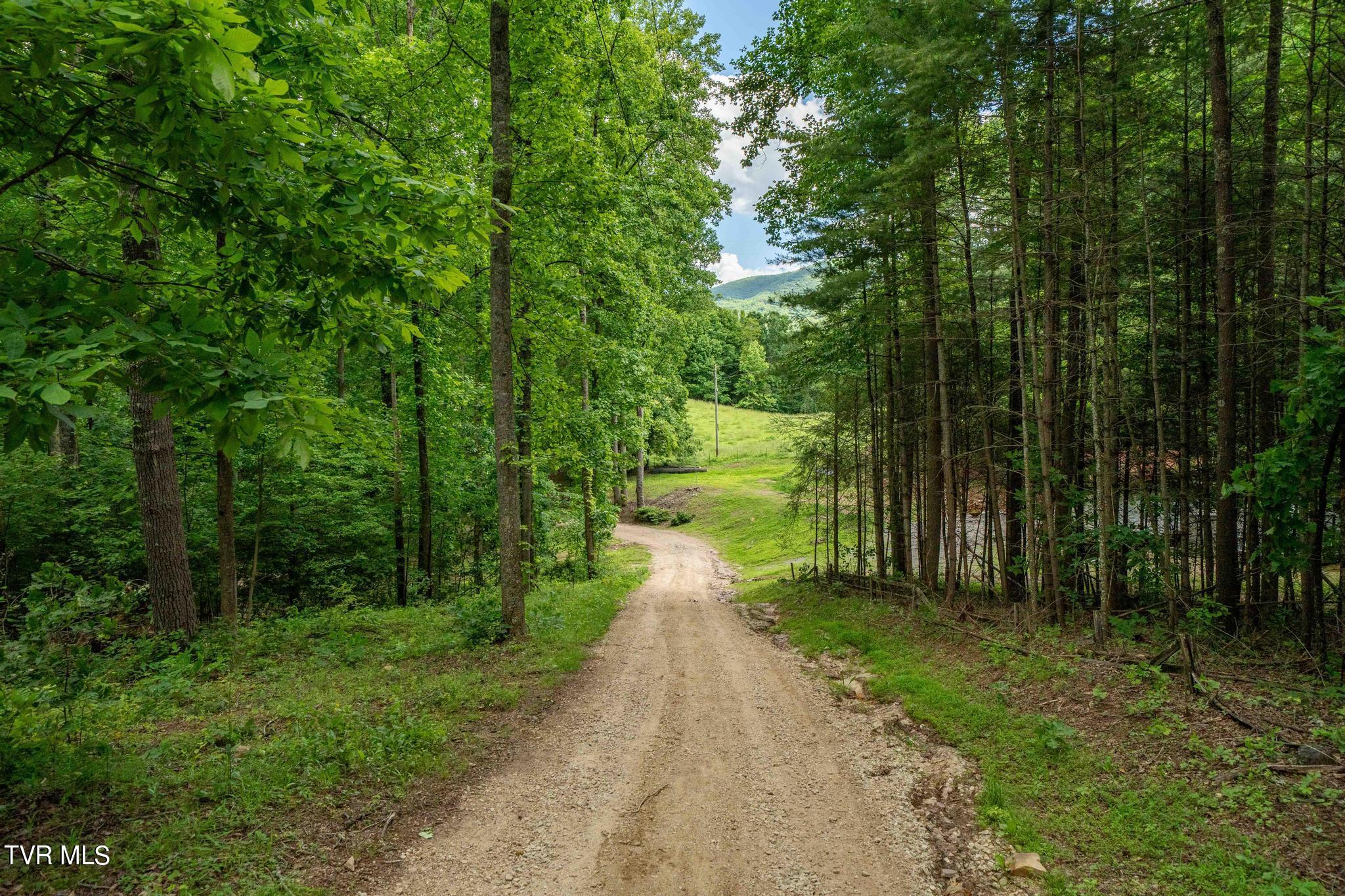 Tbd Tbd Dark Hollow Butler, TN 37640 - Photo 50 of 50 TBD Dark Hollow Private Dr (59 of 59)