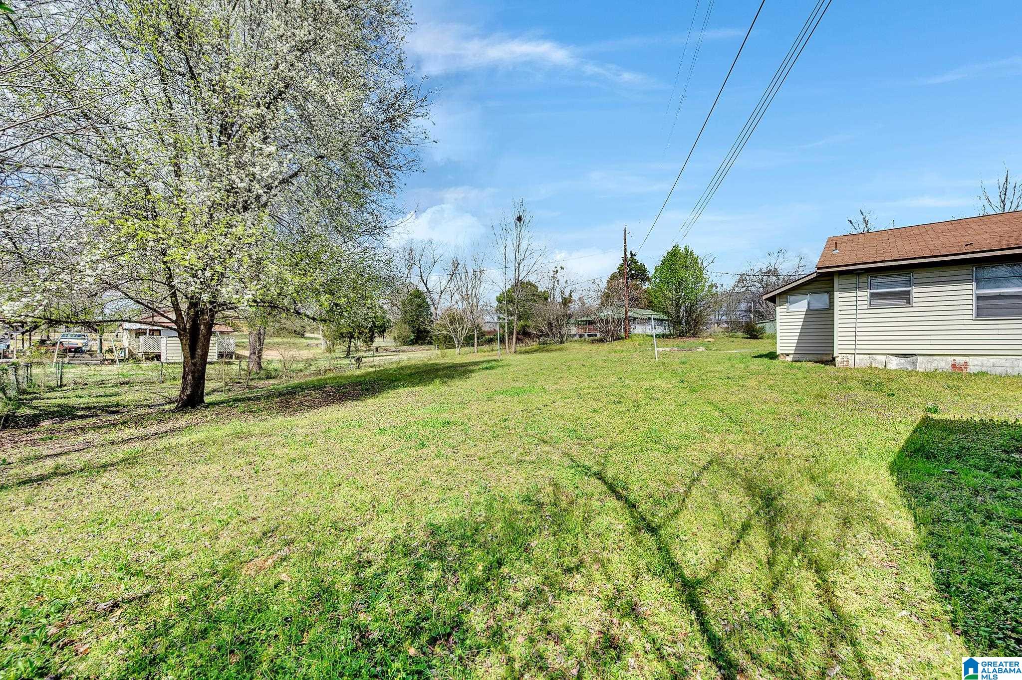 52 Old Bryan Road Sumiton, AL 35148 - Photo 24 of 27