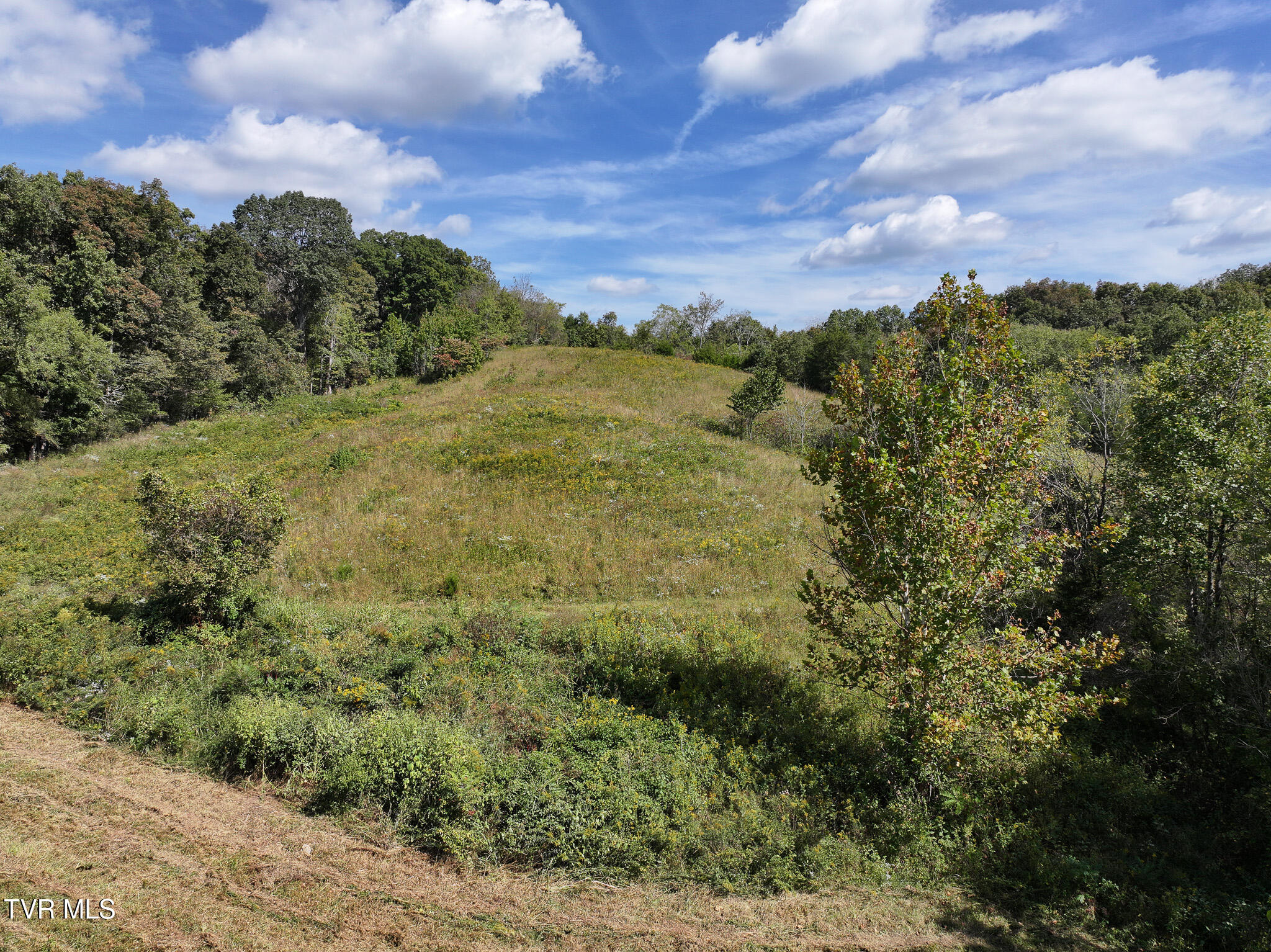 37.33-ac Charlie Doty Road Afton, TN 37616 - Photo 12 of 49 12