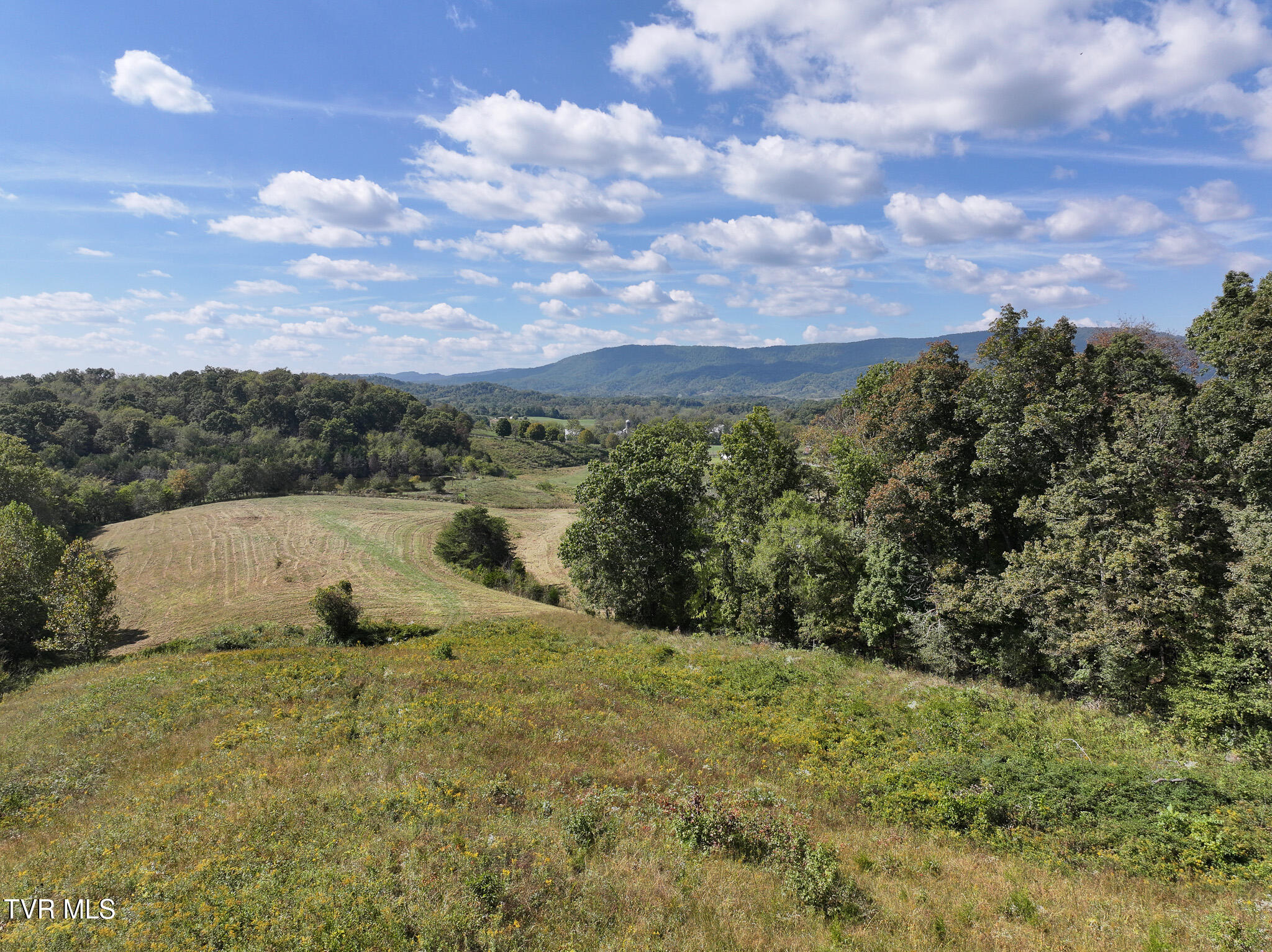 37.33-ac Charlie Doty Road Afton, TN 37616 - Photo 13 of 49 13