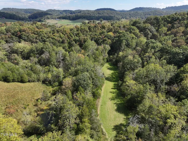 $300,000 | 37.33-ac Charlie Doty Road, Afton, TN 37616