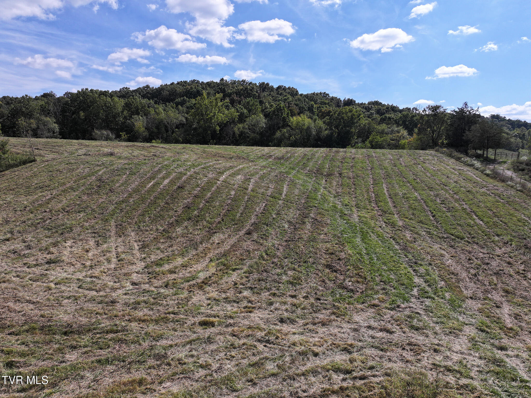 37.33-ac Charlie Doty Road Afton, TN 37616 - Photo 19 of 49 19