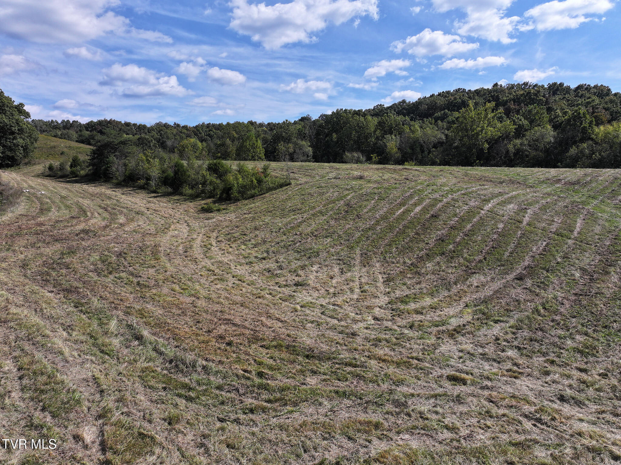 37.33-ac Charlie Doty Road Afton, TN 37616 - Photo 20 of 49 20