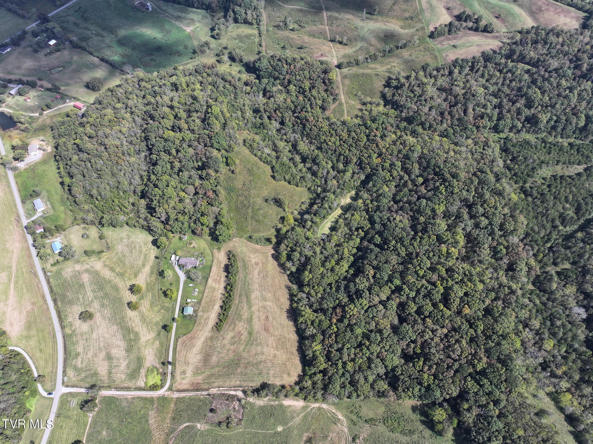 37.33-ac Charlie Doty Road Afton, TN 37616 - Photo 21 of 49 21