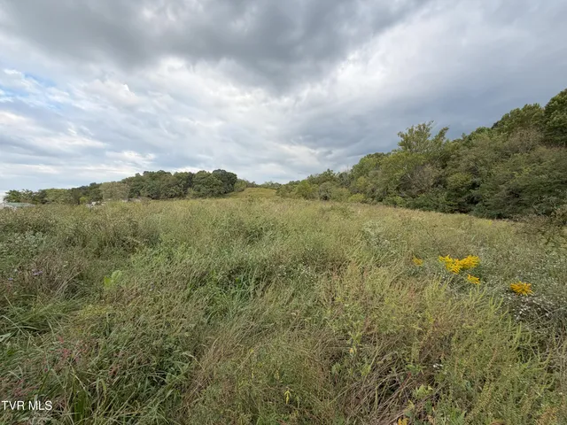 $300,000 | 37.33-ac Charlie Doty Road, Afton, TN 37616