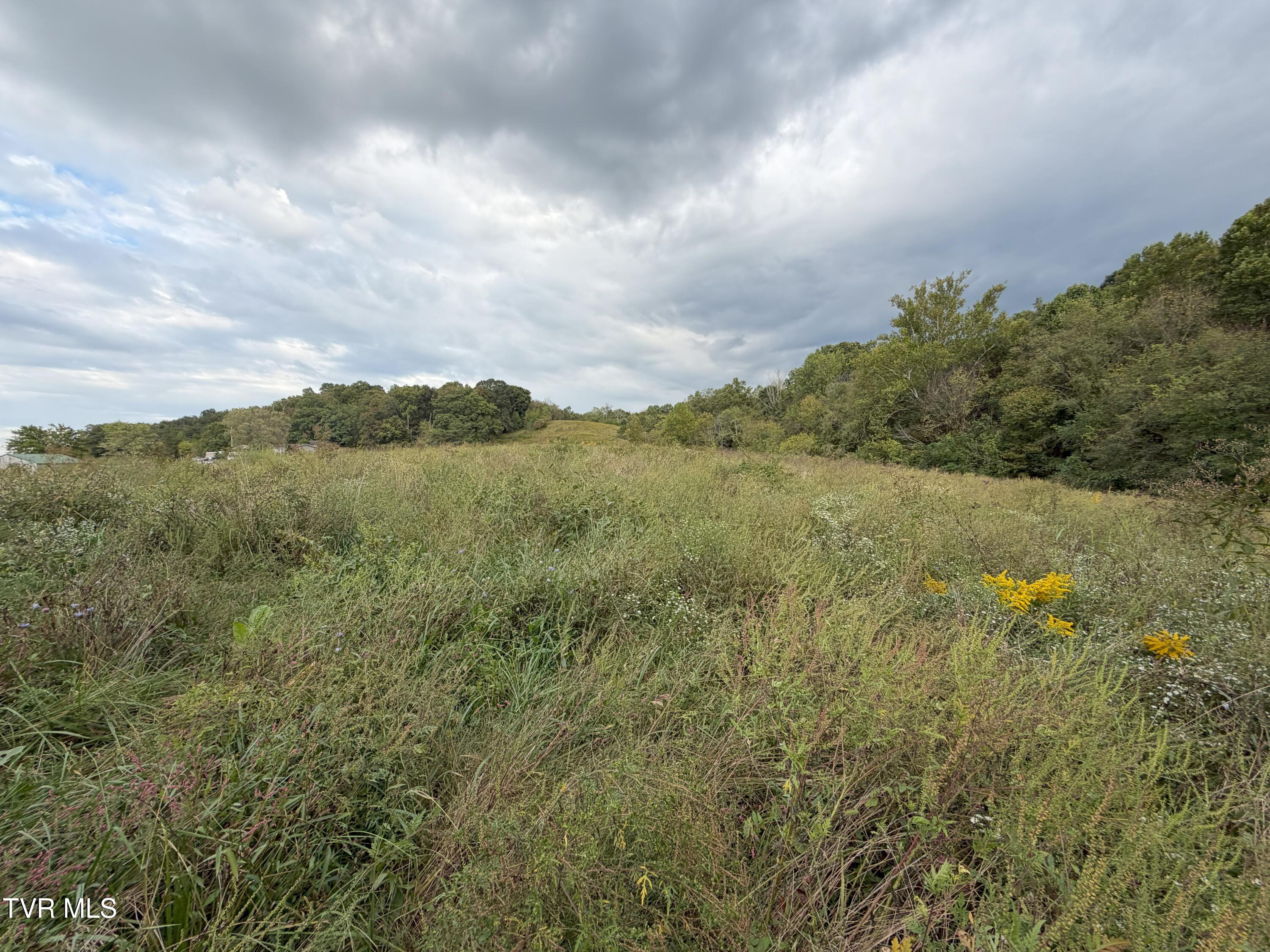 37.33-ac Charlie Doty Road Afton, TN 37616 - Photo 24 of 49 24