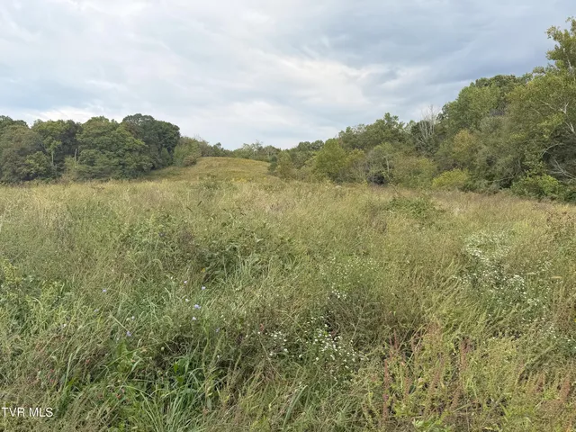 $300,000 | 37.33-ac Charlie Doty Road, Afton, TN 37616