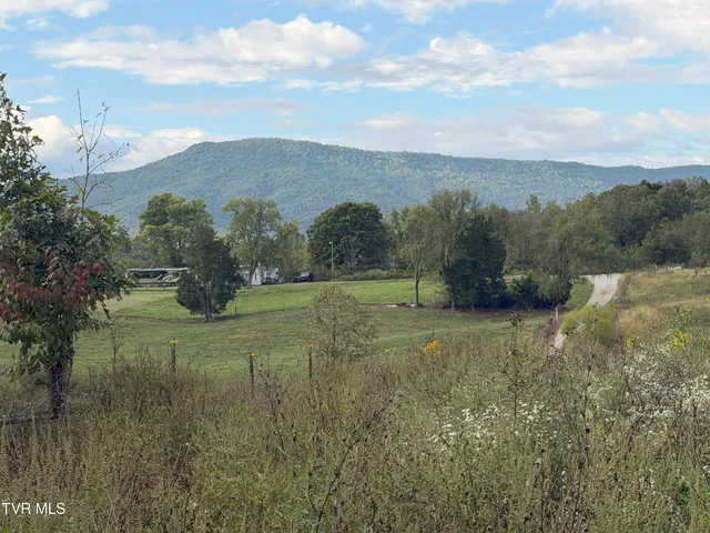 $300,000 | 37.33-ac Charlie Doty Road, Afton, TN 37616