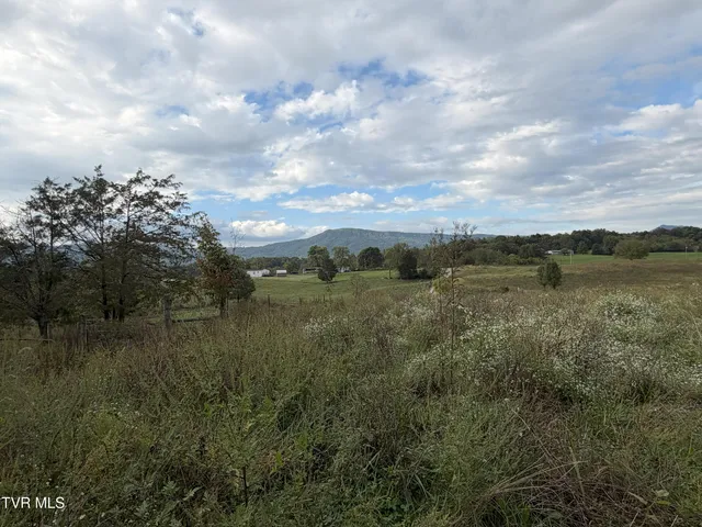 $300,000 | 37.33-ac Charlie Doty Road, Afton, TN 37616
