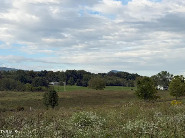 $300,000 | 37.33-ac Charlie Doty Road, Afton, TN 37616