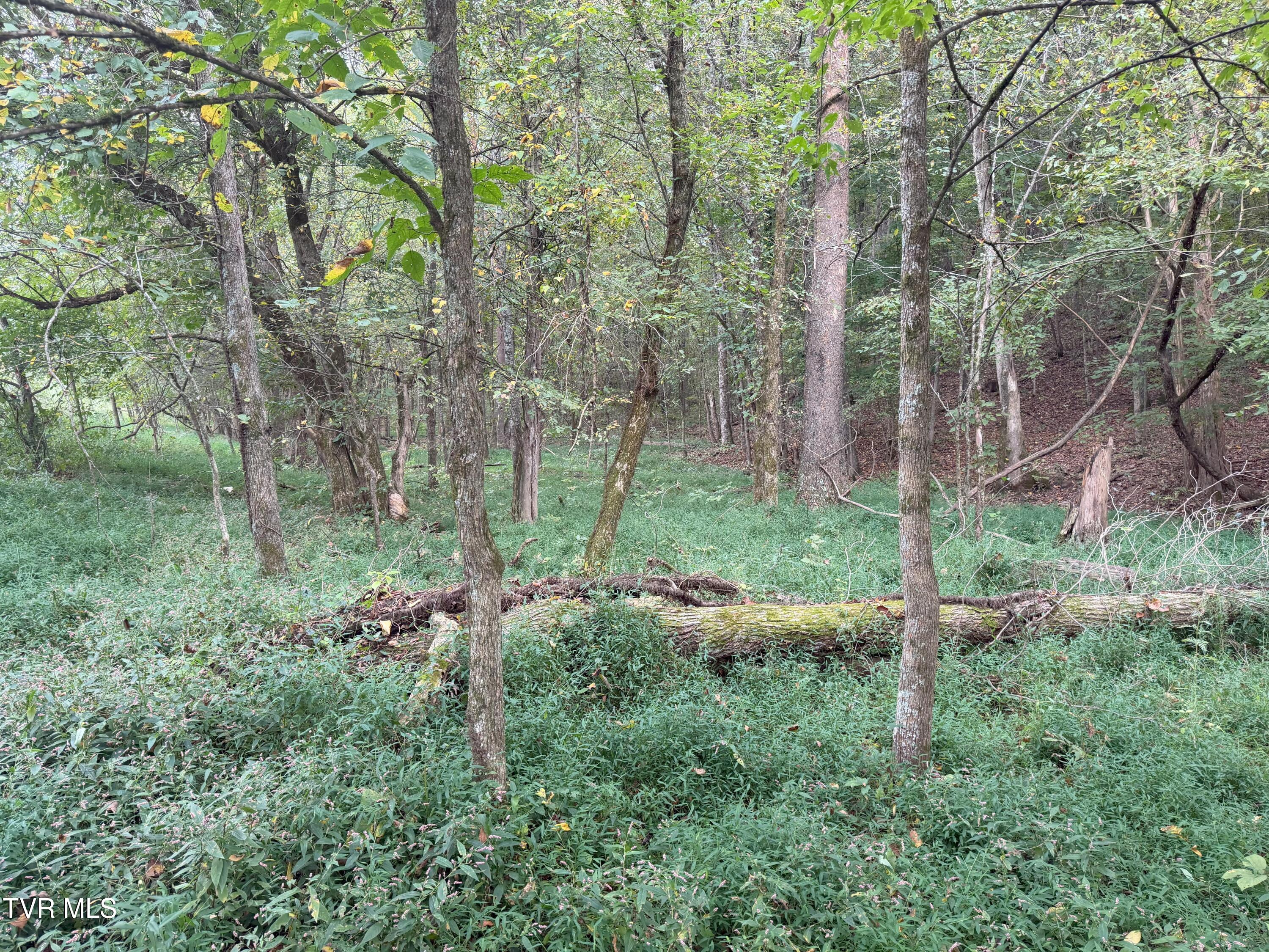 37.33-ac Charlie Doty Road Afton, TN 37616 - Photo 30 of 49 30