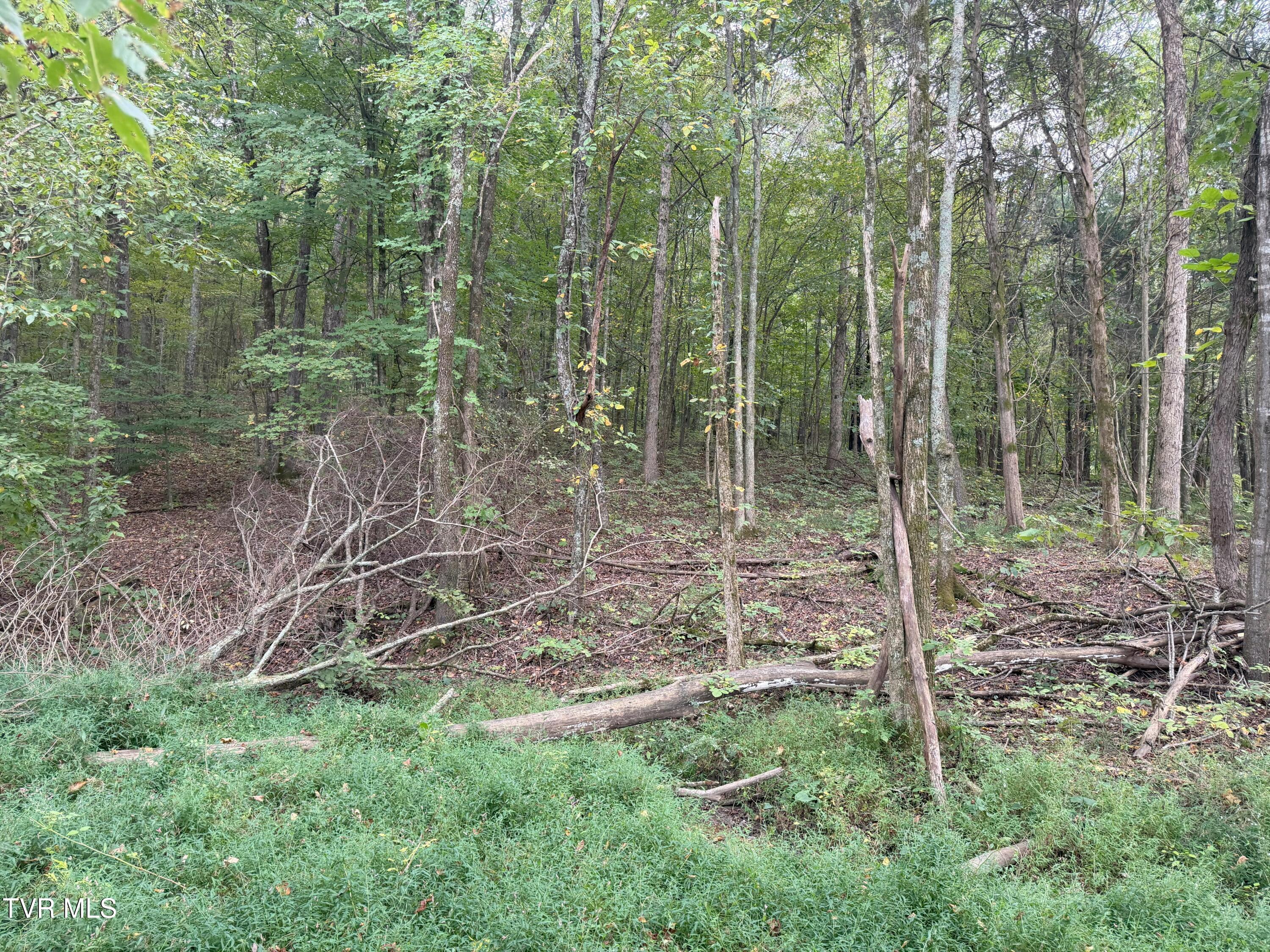 37.33-ac Charlie Doty Road Afton, TN 37616 - Photo 31 of 49 31