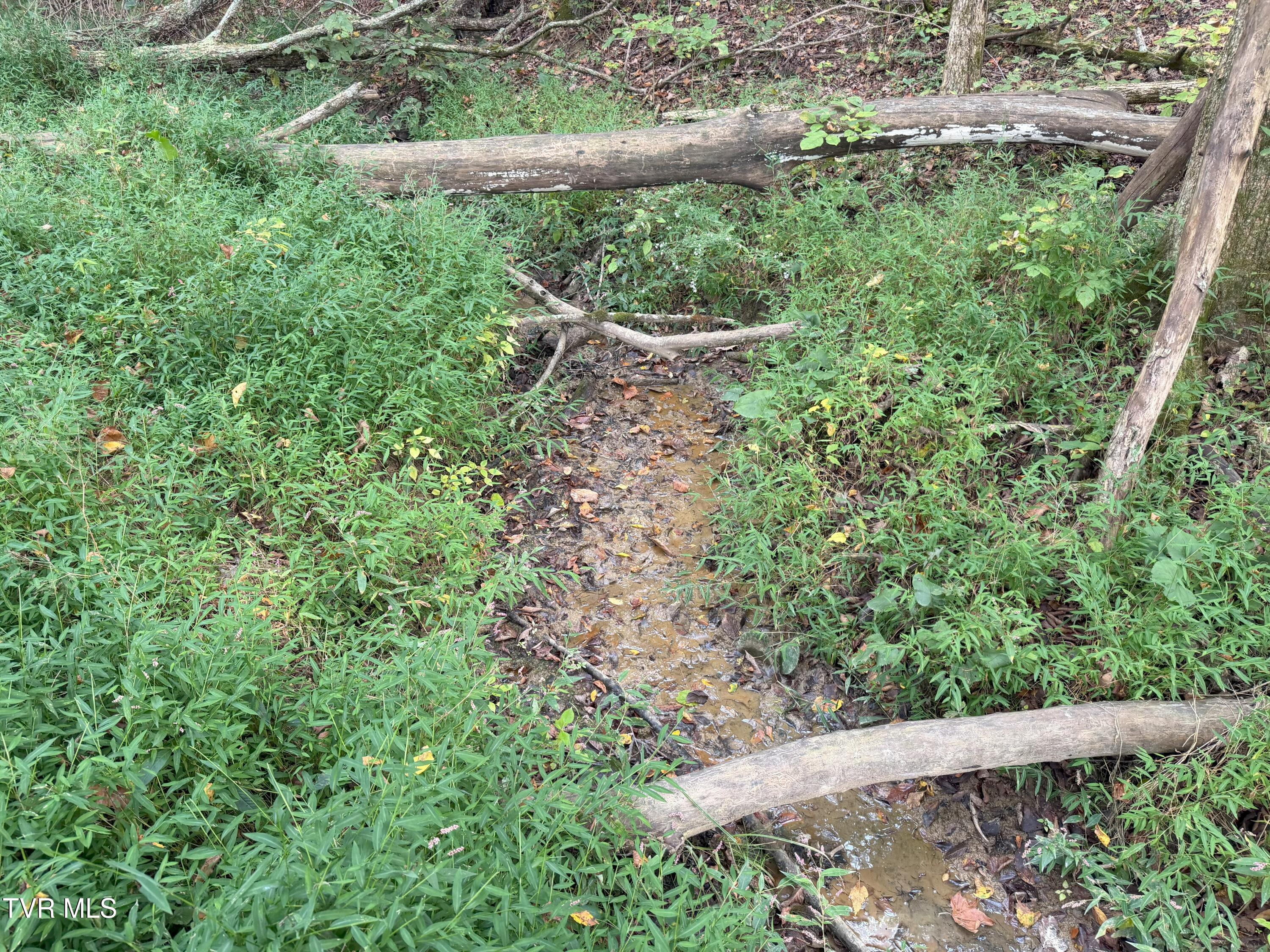 37.33-ac Charlie Doty Road Afton, TN 37616 - Photo 32 of 49 32