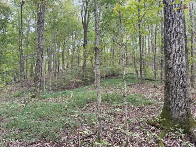 $300,000 | 37.33-ac Charlie Doty Road, Afton, TN 37616