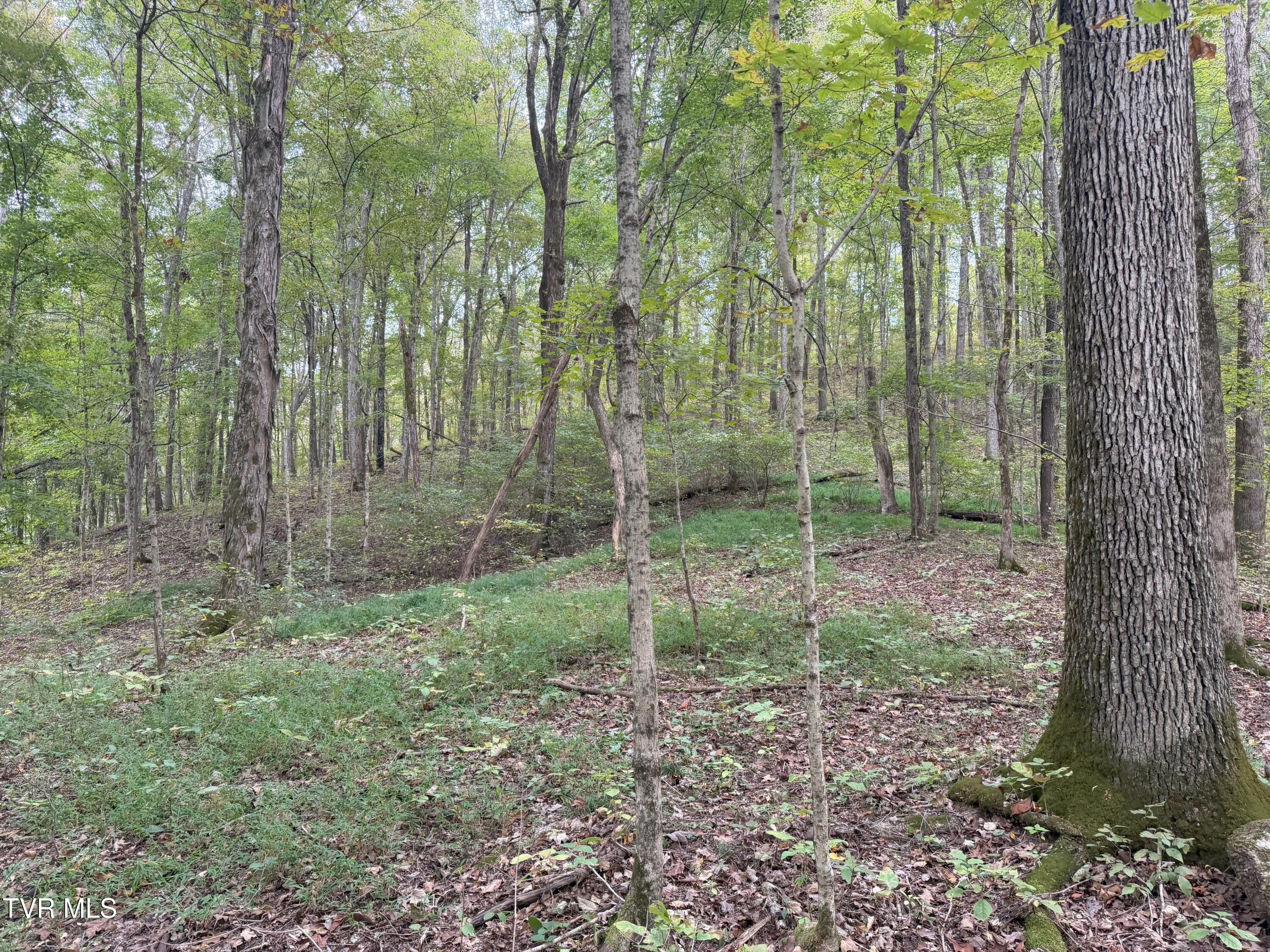 37.33-ac Charlie Doty Road Afton, TN 37616 - Photo 35 of 49 35