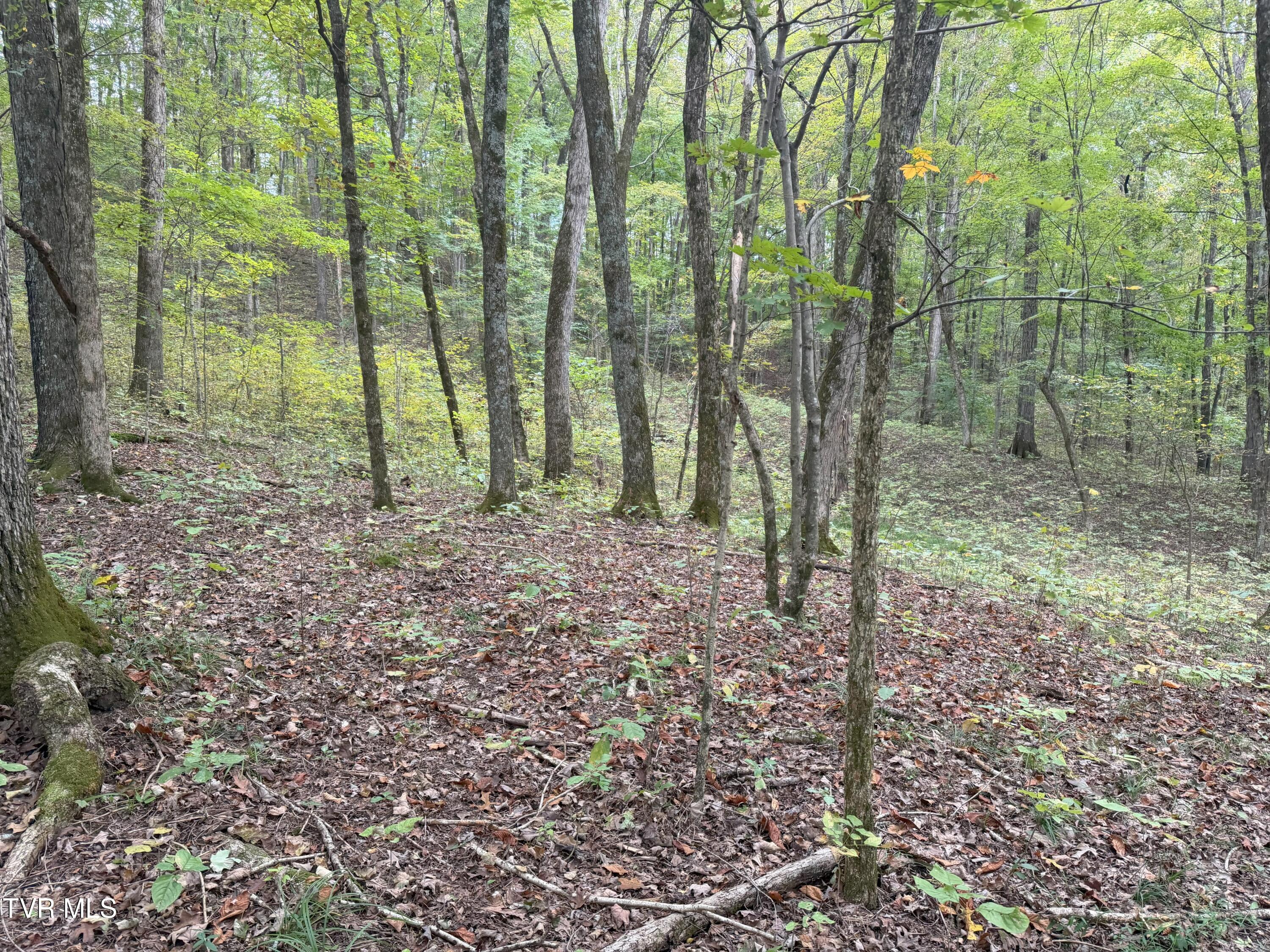 37.33-ac Charlie Doty Road Afton, TN 37616 - Photo 36 of 49 36