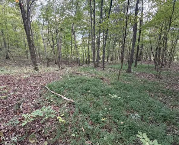 $300,000 | 37.33-ac Charlie Doty Road, Afton, TN 37616