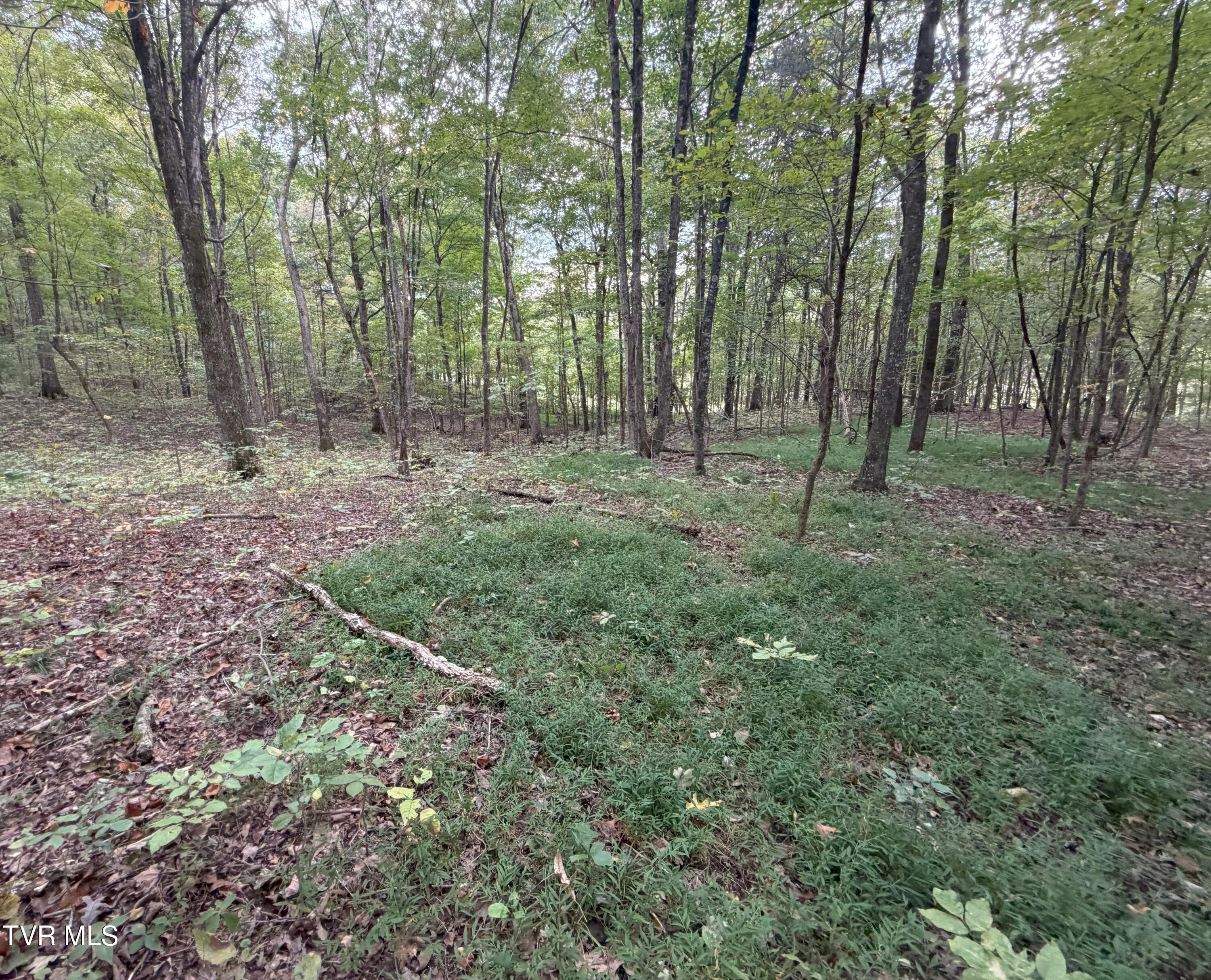 37.33-ac Charlie Doty Road Afton, TN 37616 - Photo 37 of 49 37