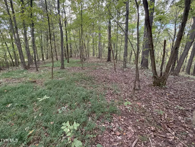 $300,000 | 37.33-ac Charlie Doty Road, Afton, TN 37616