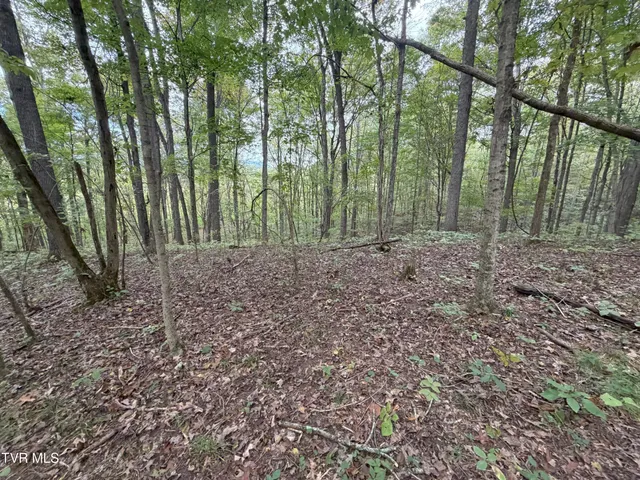 $300,000 | 37.33-ac Charlie Doty Road, Afton, TN 37616