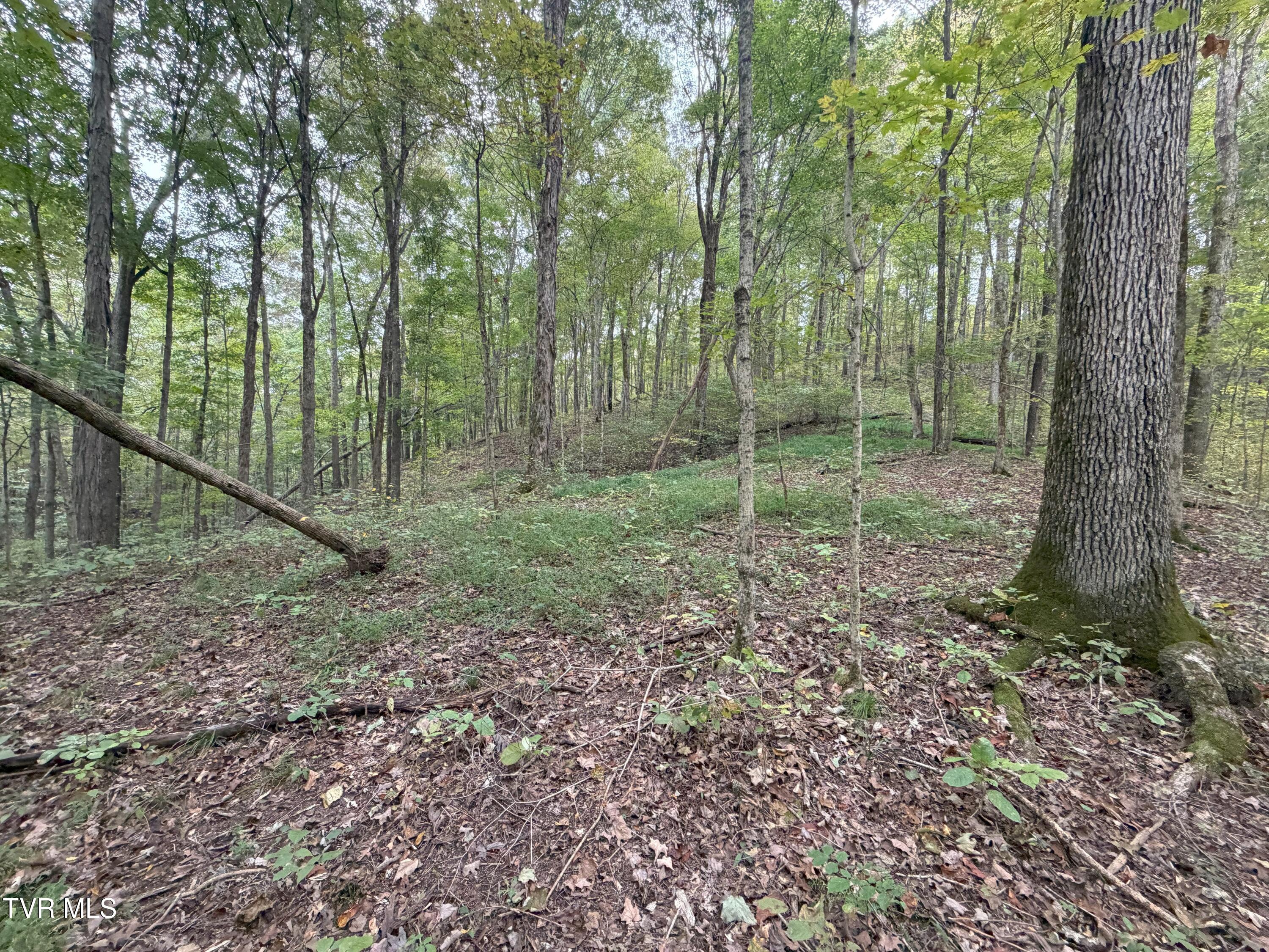 37.33-ac Charlie Doty Road Afton, TN 37616 - Photo 40 of 49 40