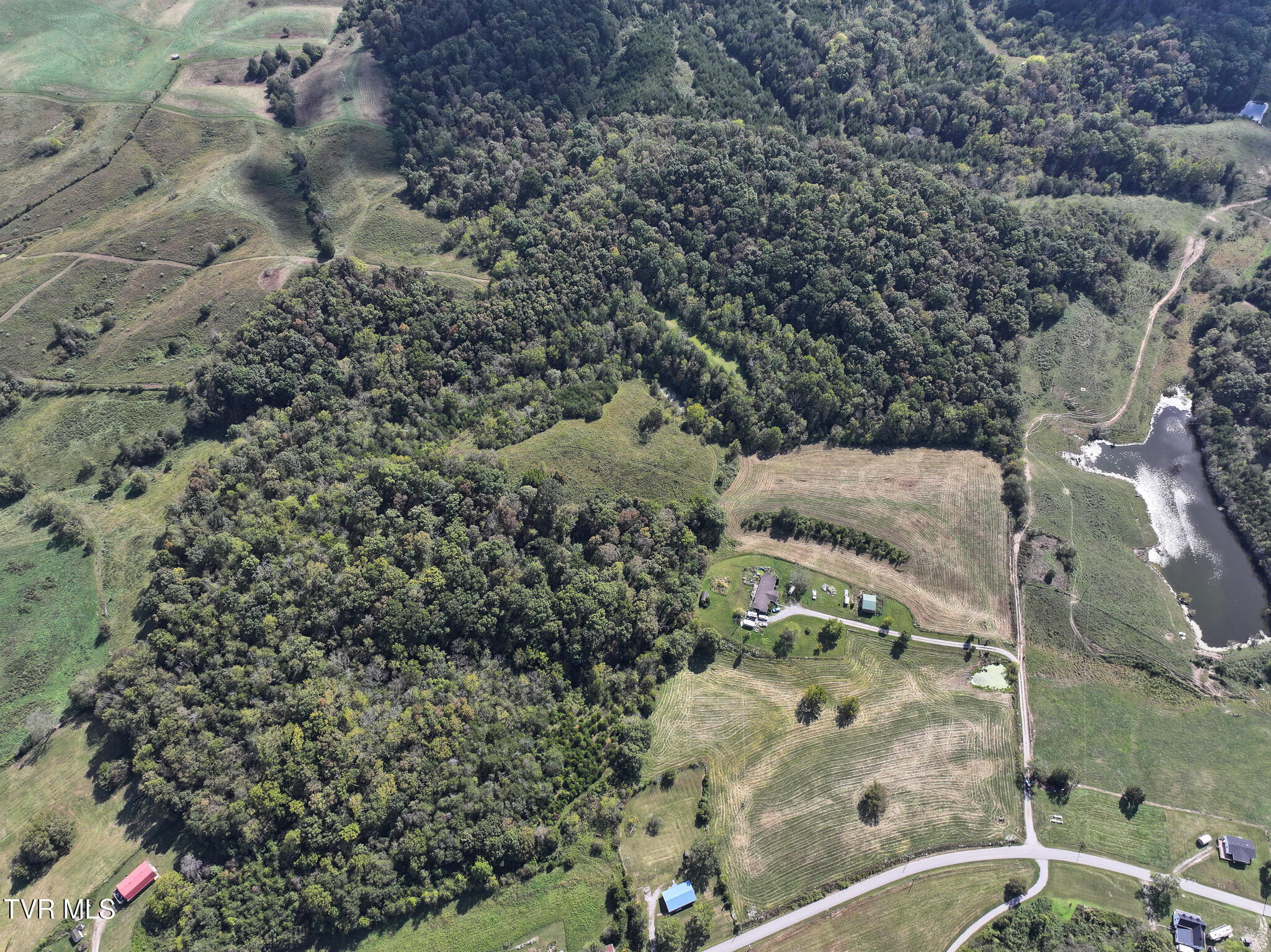 37.33-ac Charlie Doty Road Afton, TN 37616 - Photo 4 of 49 4