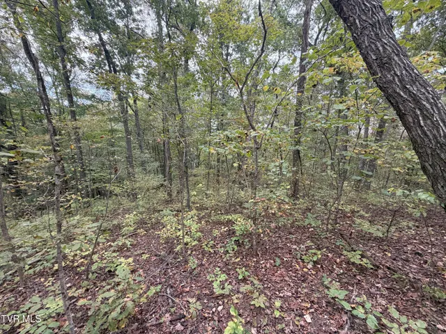 $300,000 | 37.33-ac Charlie Doty Road, Afton, TN 37616