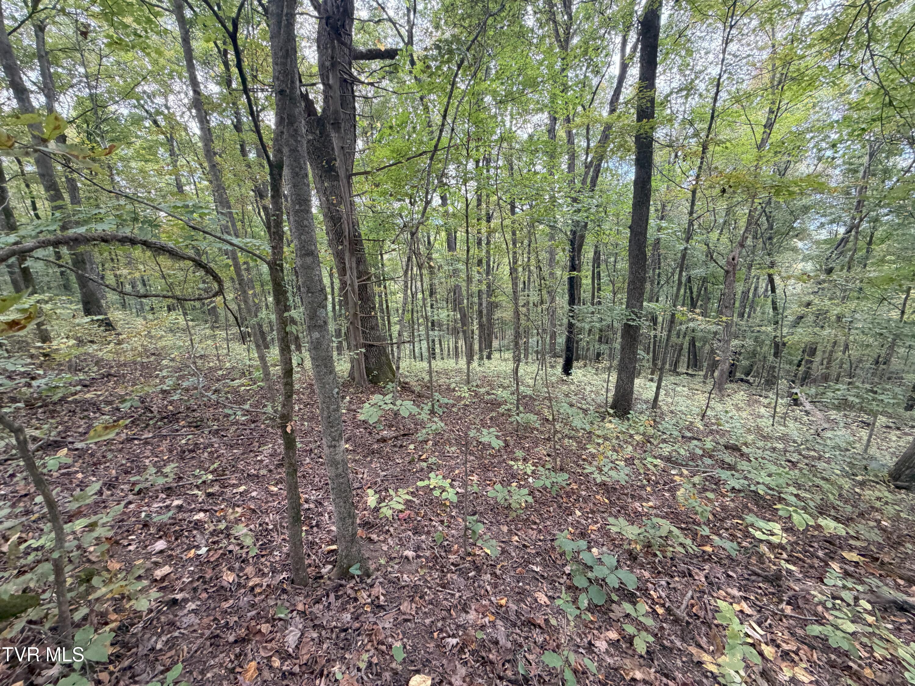 37.33-ac Charlie Doty Road Afton, TN 37616 - Photo 45 of 49 45