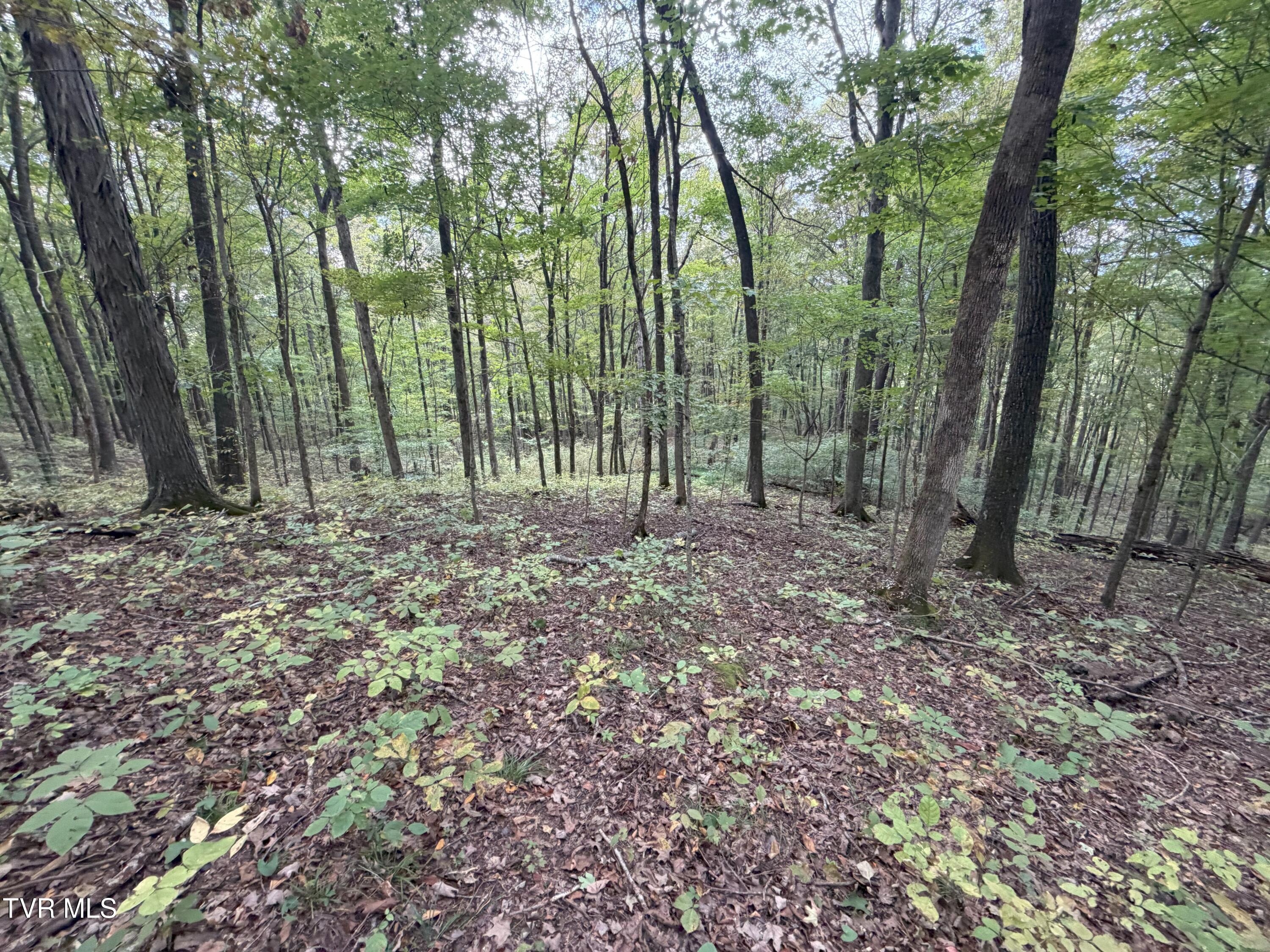 37.33-ac Charlie Doty Road Afton, TN 37616 - Photo 46 of 49 46