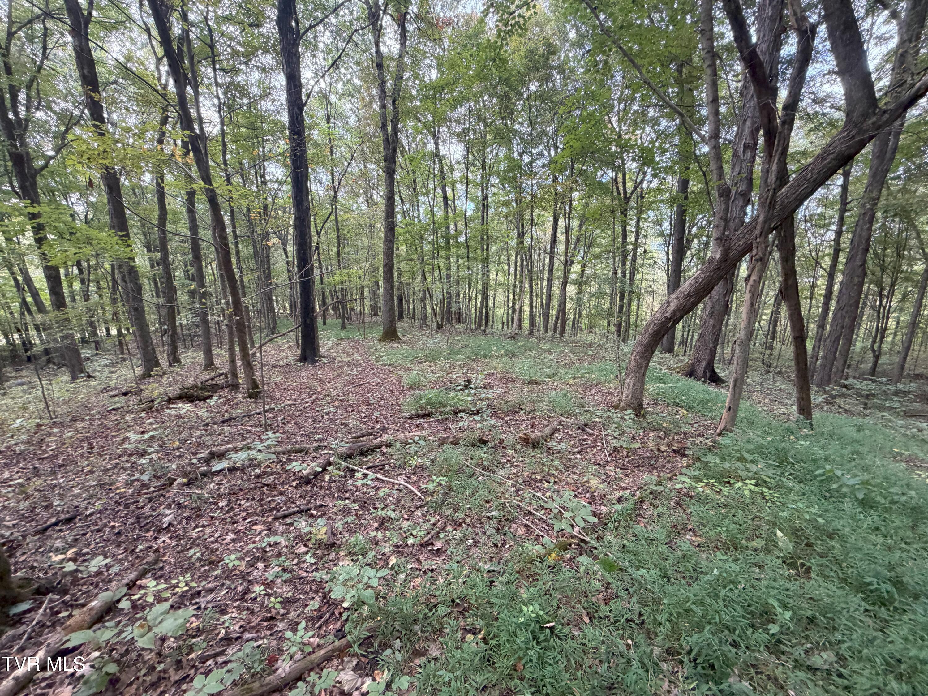 37.33-ac Charlie Doty Road Afton, TN 37616 - Photo 49 of 49 49