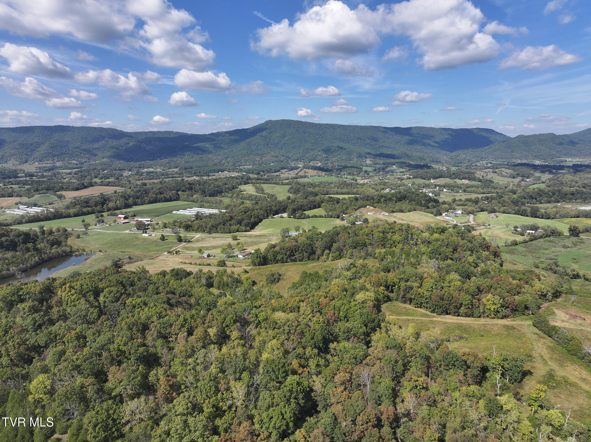 37.33-ac Charlie Doty Road Afton, TN 37616 - Photo 7 of 49 7