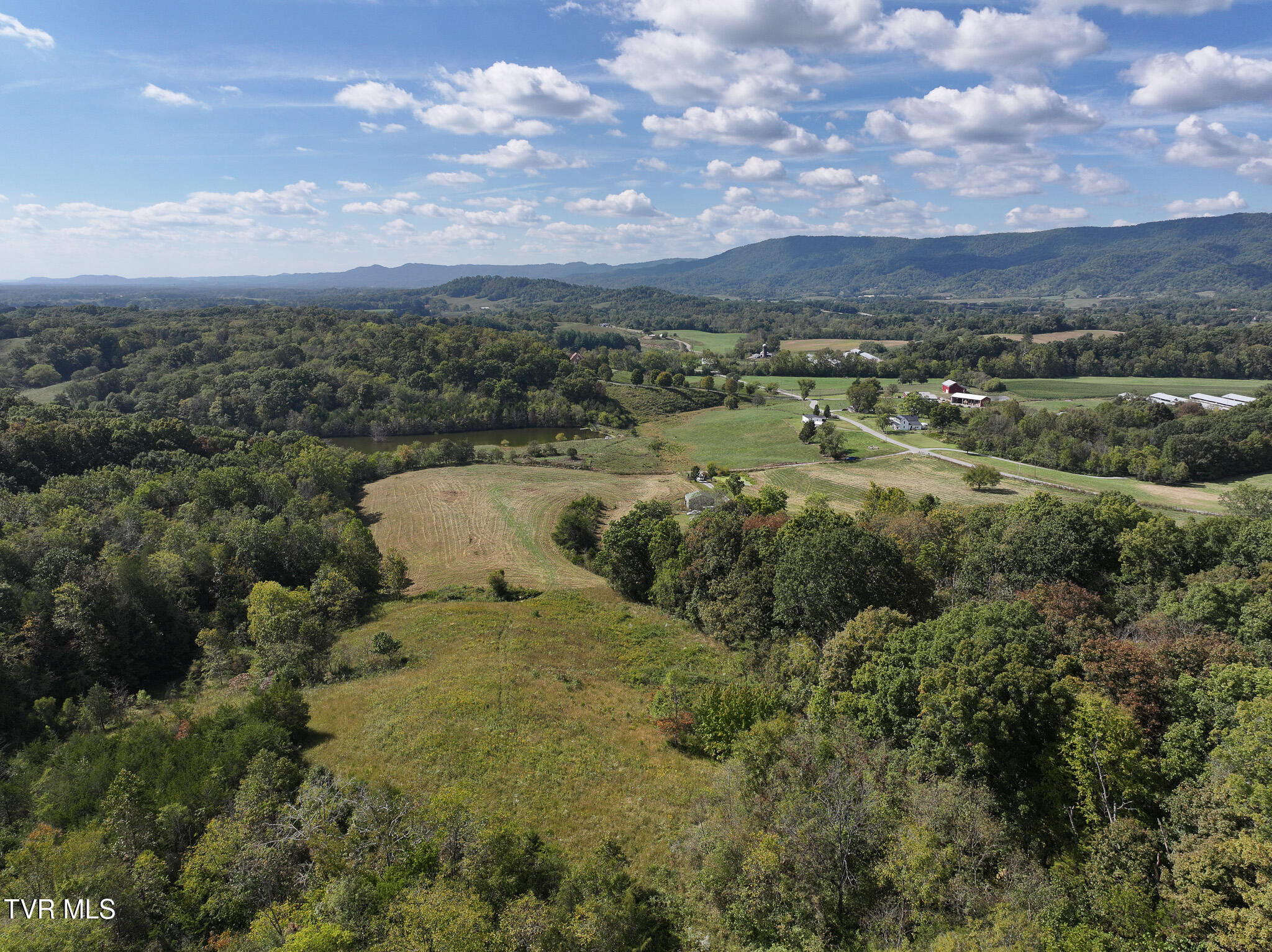 37.33-ac Charlie Doty Road Afton, TN 37616 - Photo 8 of 49 8