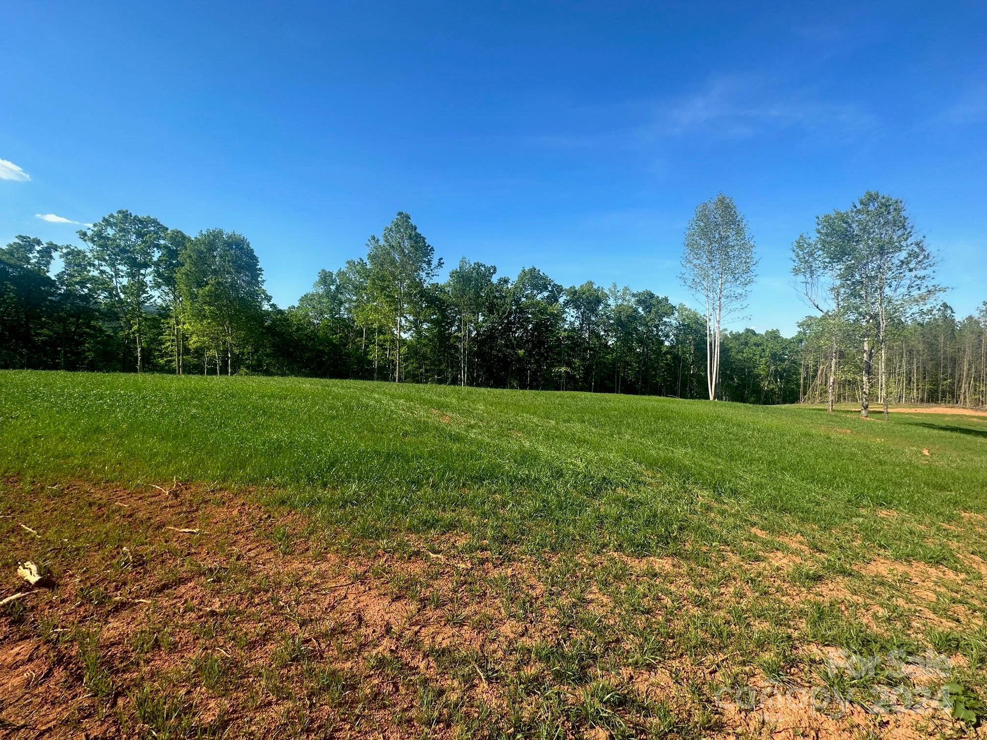 0 Lake Adger Road Mill Spring, NC 28756 - Photo 1 of 5 a view of a garden with trees