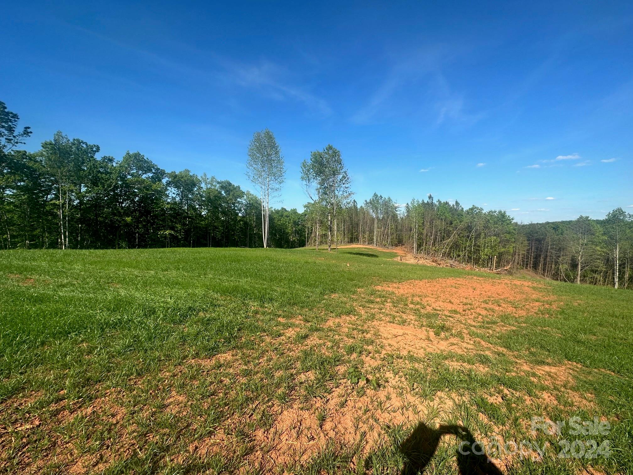 0 Lake Adger Road Mill Spring, NC 28756 - Photo 3 of 5 a view of field with tall trees