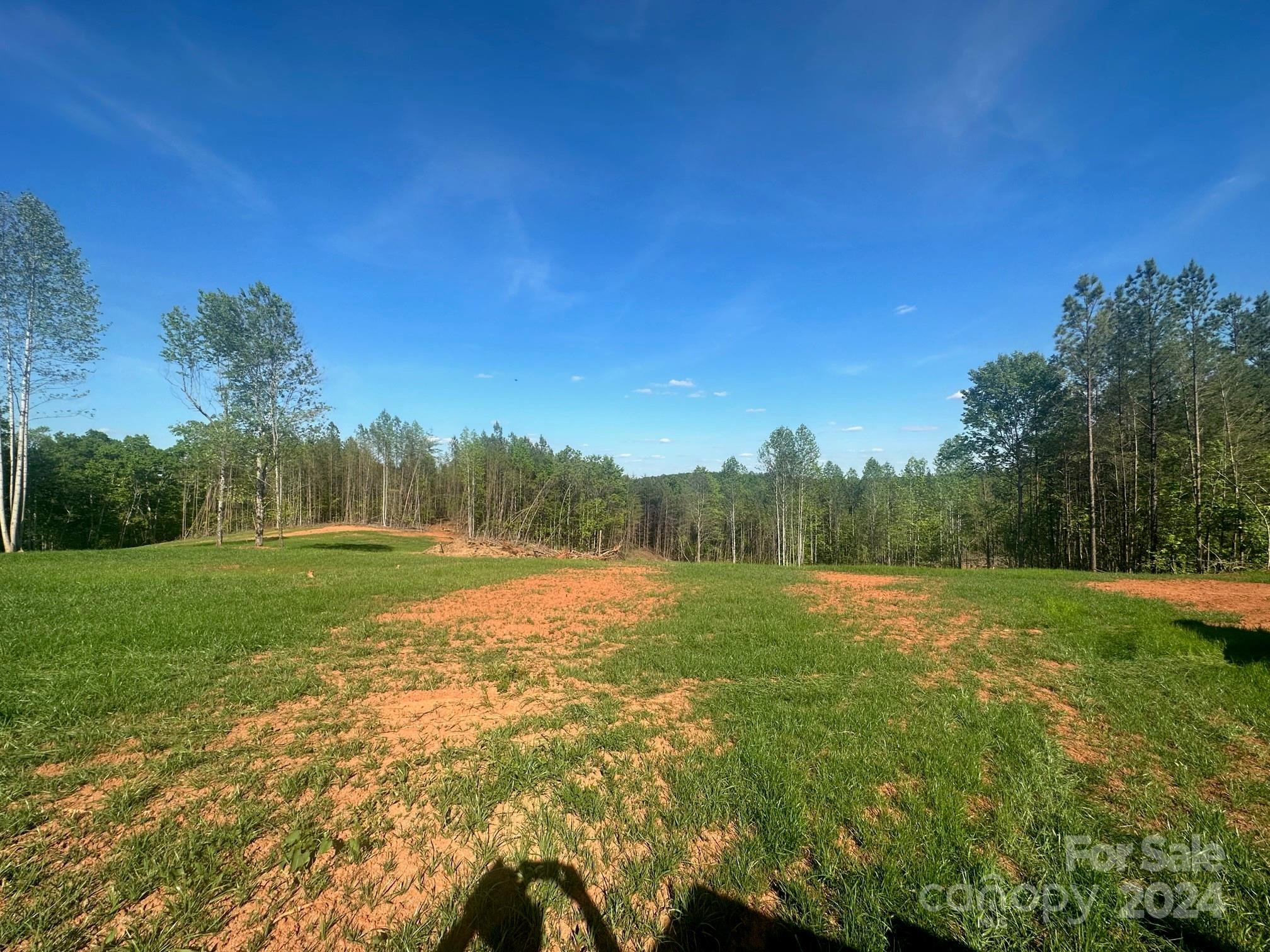 0 Lake Adger Road Mill Spring, NC 28756 - Photo 4 of 5 a view of field with tall trees