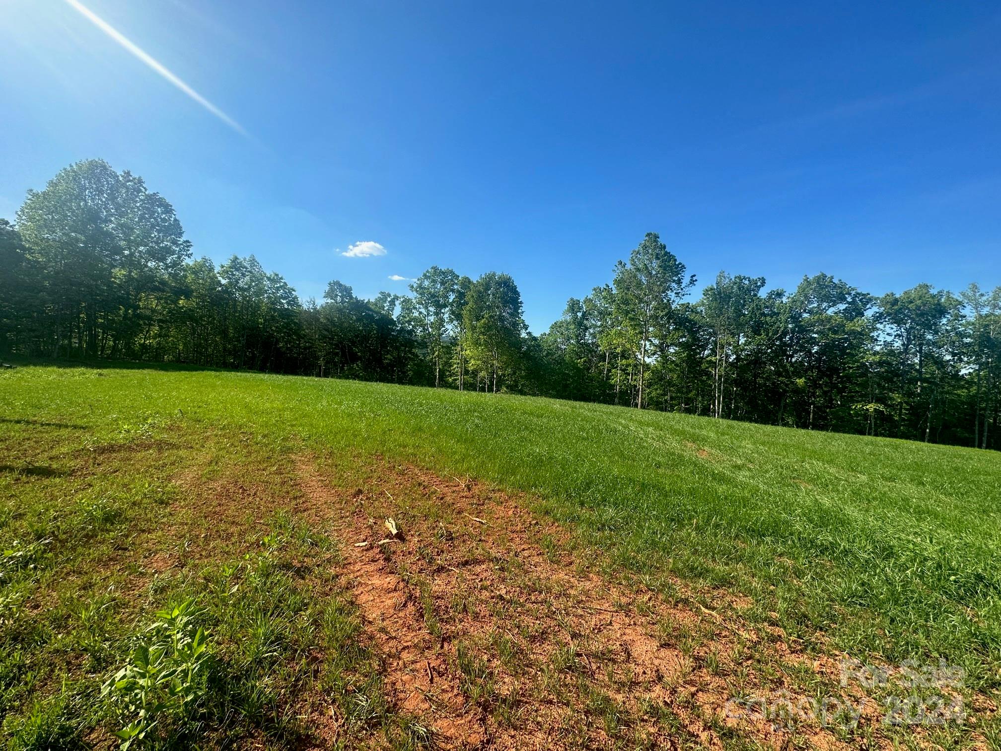 0 Lake Adger Road Mill Spring, NC 28756 - Photo 5 of 5 a view of a field with trees in the background