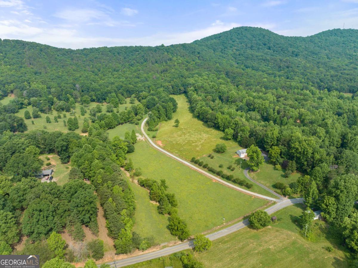 0 Freeman View Trail, Unit LOT #3 Cleveland, GA 30528 - Photo 3 of 14 a view of a forest with a houses