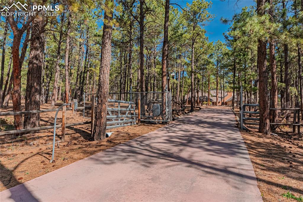 7190 Burgess Road Colorado Springs, CO 80908 - Photo 2 of 50 a view of a backyard of the house