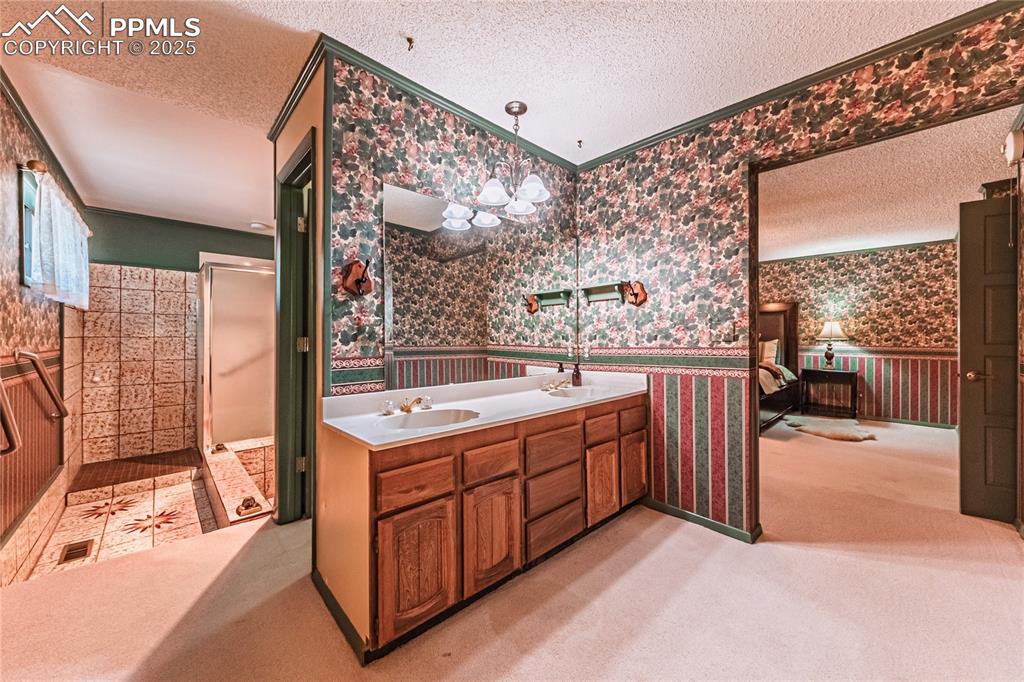 7190 Burgess Road Colorado Springs, CO 80908 - Photo 39 of 50 a large bathroom with a tub sink and mirror