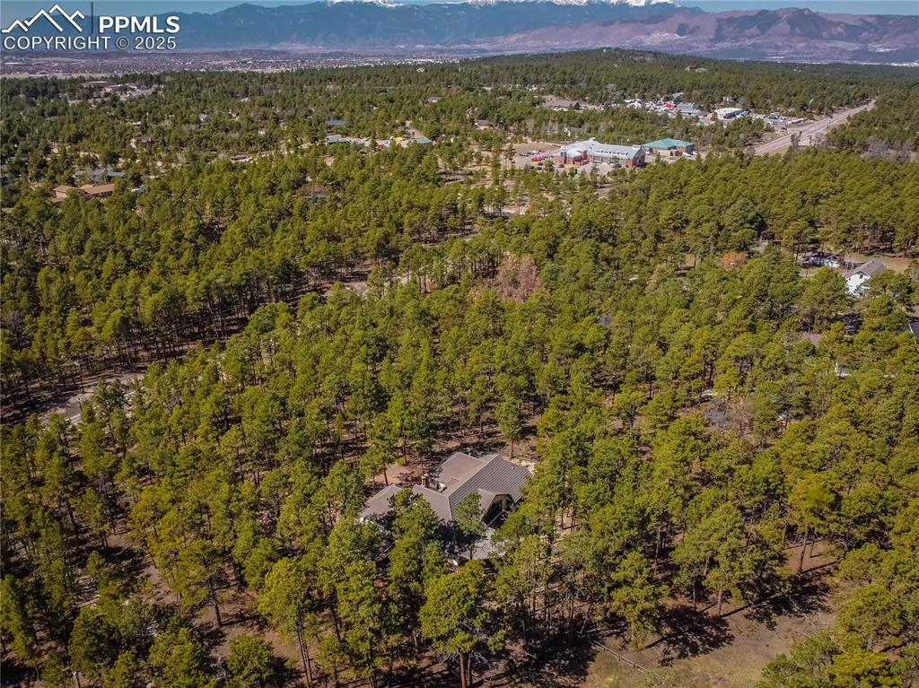 7190 Burgess Road Colorado Springs, CO 80908 - Photo 4 of 50 a view of a field with an outdoor space